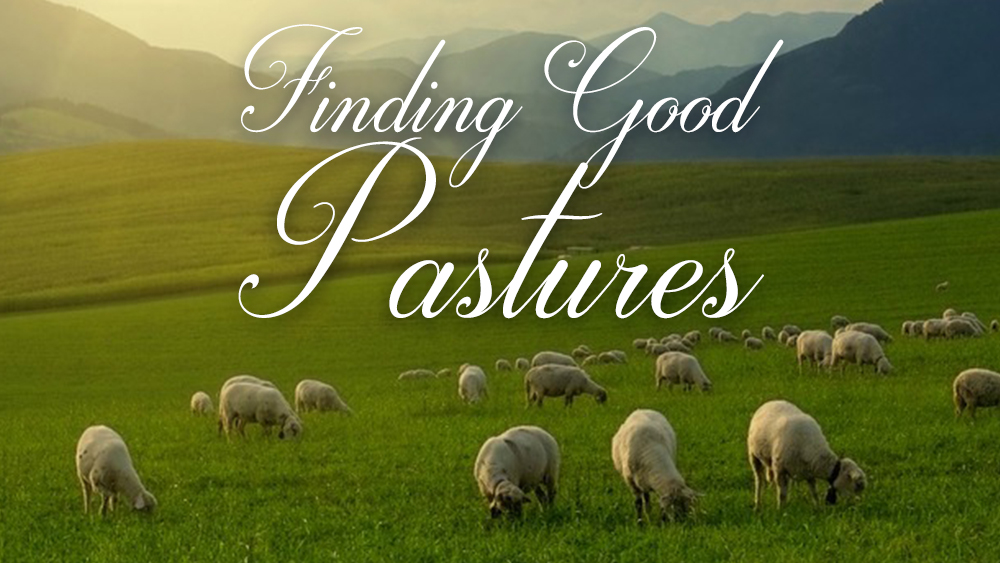 Finding Good Pastures