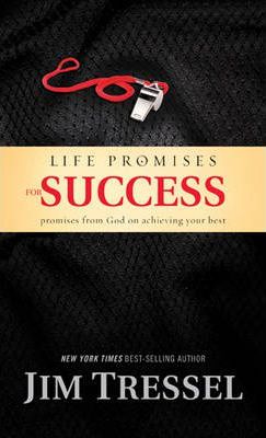 Life Promises For Success-image
