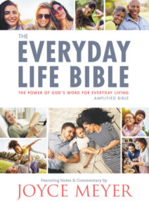 The Everyday Life Bible: The Power of God's Word for Everyday Living-image