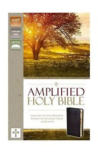 Amplified Thinline Holy Bible--bonded leather, black (indexed)-image