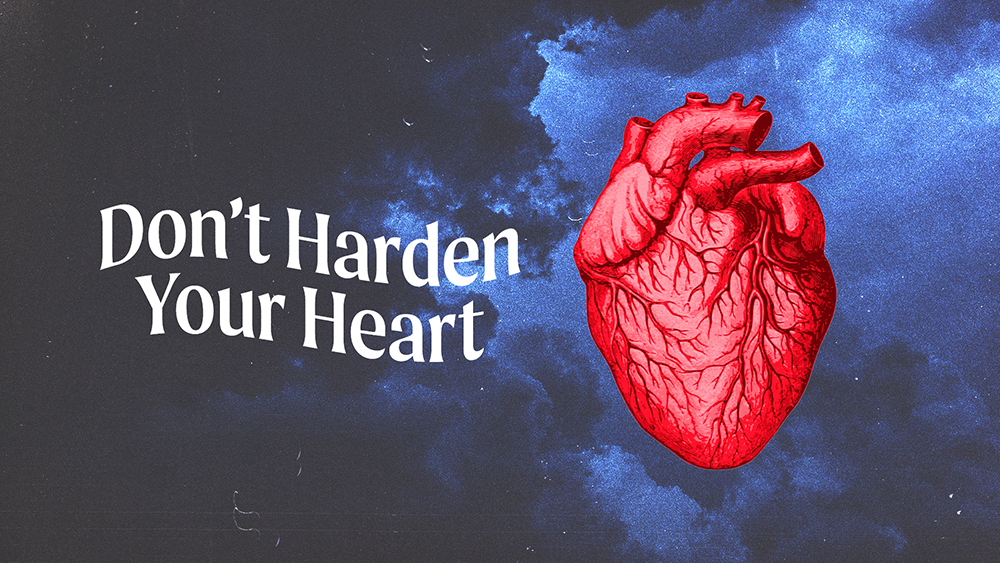 Don’t Harden Your Heart Image