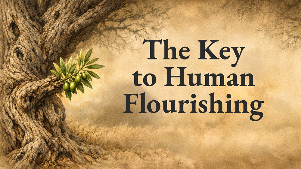 The Key to Human Flourishing Image