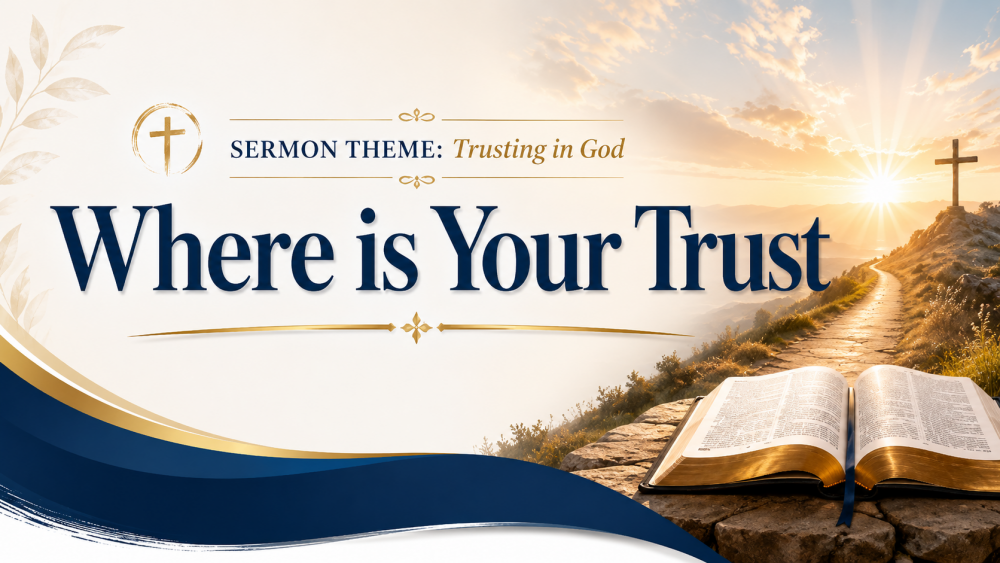 Where is Your Trust?